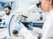 new used microscope for sale