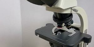 Accu-Scope3012 microscope
